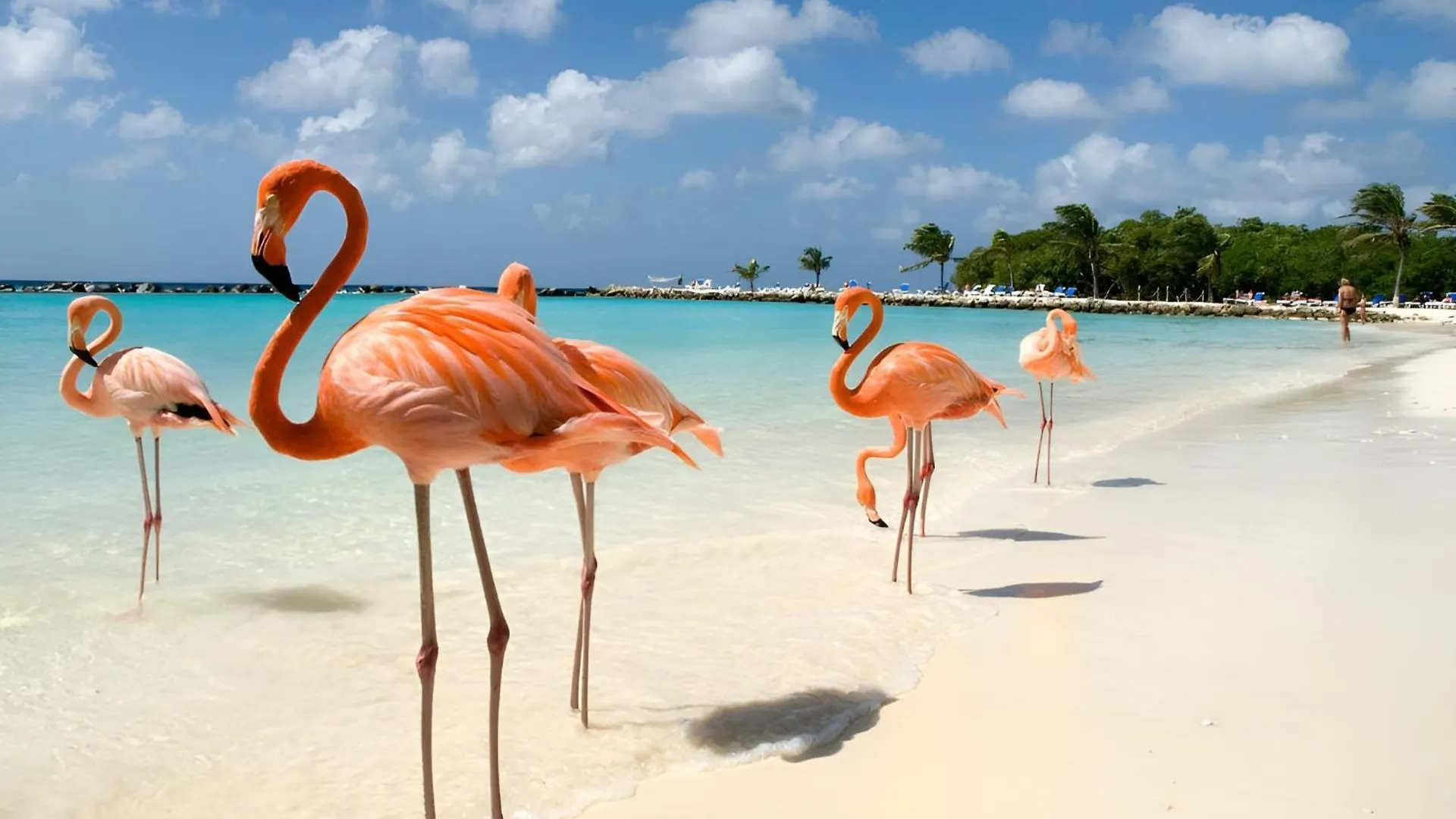 New 1 Min To Beach, Resort Style Amenities, Bbq Palm Beach